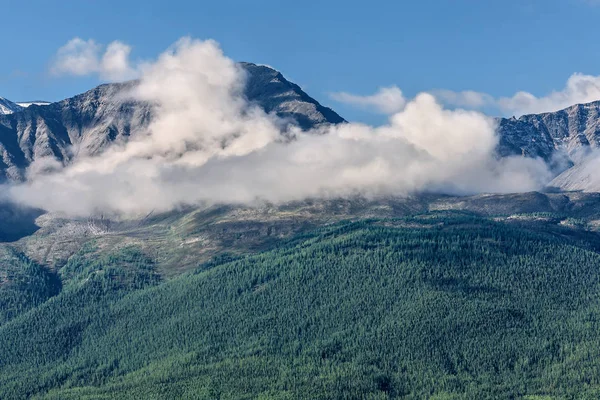 mountains clouds forest peak