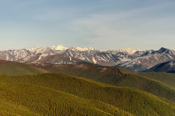 Hory sněhu lesních svazích vrcholů — Stock fotografie