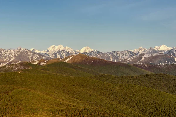 Hory sněhu lesních svazích vrcholů — Stock fotografie