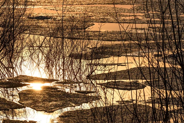 Крижаний дрейф вода відображає озеро — стокове фото