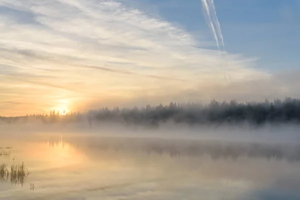 湖日の出霧反射の森 — ストック写真