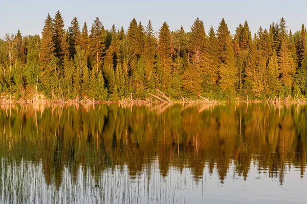 Lake Forest'ta yansıma yaz