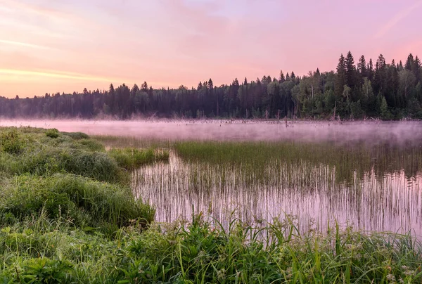 lake dawn pink fog forest