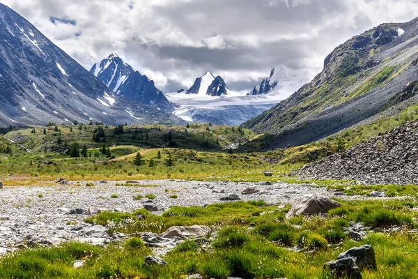 Bergen glaciären blommor stenar sommaren — Stockfoto