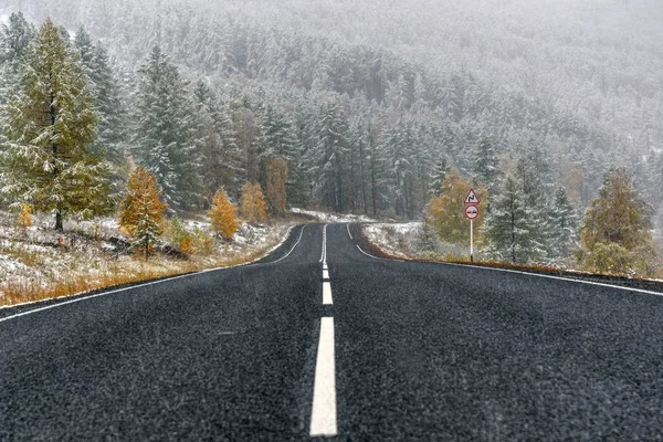 Weg asfalt sneeuwval bos vallen — Stockfoto