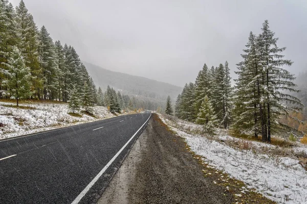 Yol asfalt kar yağışı orman düşmek — Stok fotoğraf