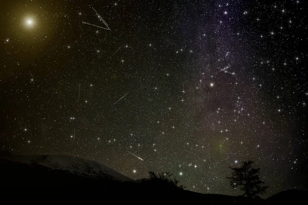 mountains stars meteors spruce night