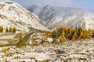 dağlar yol kar sonbahar ağaçlar