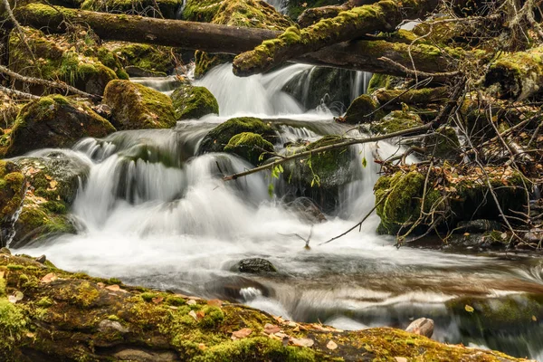 Água do rio pedras musgo cachoeira — Fotografia de Stock