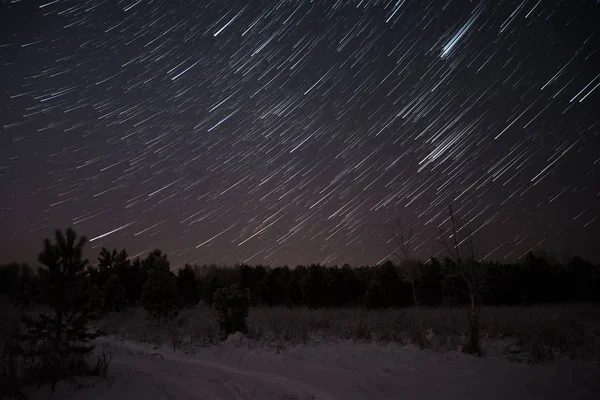 Estrela faixas floresta céu abeto — Fotografia de Stock