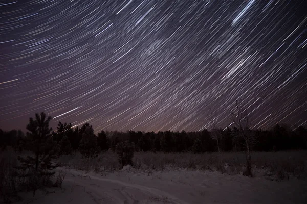 Estrela faixas floresta céu abeto — Fotografia de Stock