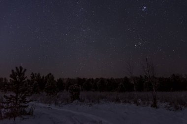 yıldız orman gökyüzü Ladin kar