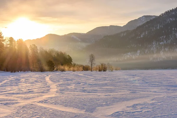 Nascer do sol montanhas inverno raios de sol árvores — Fotografia de Stock