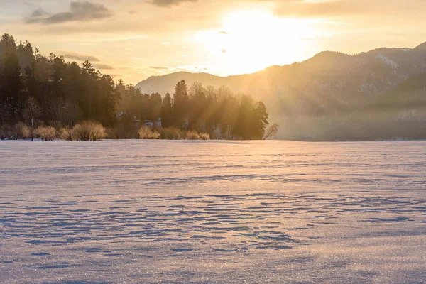 Nascer do sol montanhas inverno raios de sol árvores — Fotografia de Stock