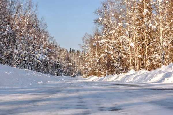 Road forest snow winter trees snowy — Stock Photo, Image