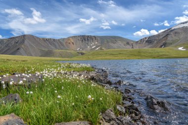 dağlar göl çiçekler pamuk çim yaz