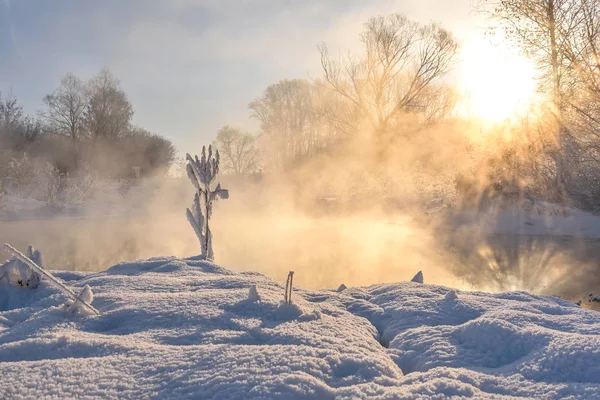 Sjön dimma solen strålar speglar Stockfoto