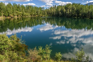 Göl bulutlar orman yansımaları yaz