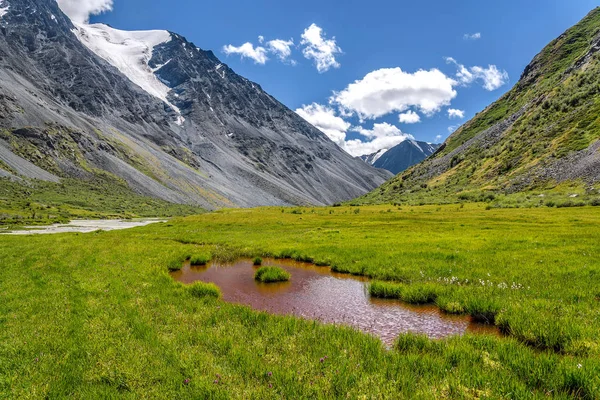 Berge Baumwolle Gras Fluss Blumen Sommer — Stockfoto