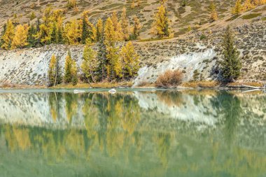 ağaçlar nehir yansımaları dağlar sonbahar