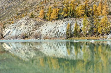 ağaçlar nehir yansımaları dağlar sonbahar