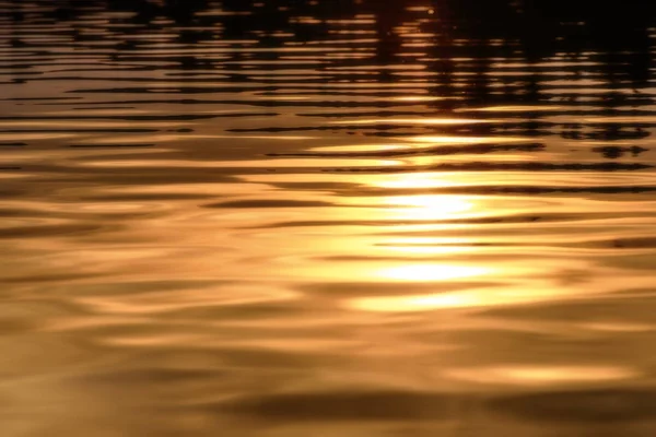 Water golden reflection sun background — Stock Photo, Image