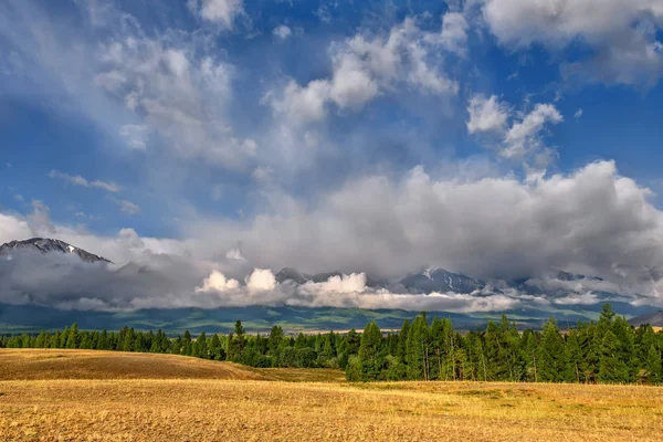 Bergen wolken hemel bos — Stockfoto