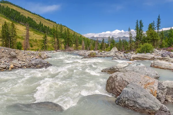 Léto na horách Lesní řeka kameny — Stock fotografie