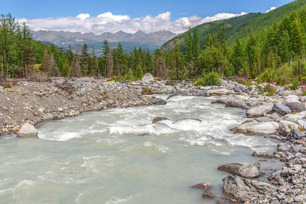 Rivier stenen berg bos zomer — Stockfoto