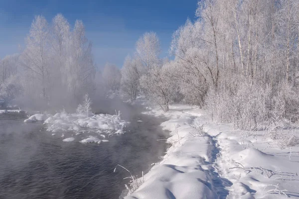 雪河白桦树霜冻雾冬季 — 图库照片