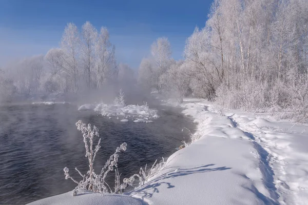 Neve rio geada vidoeiro hoarfrost nevoeiro inverno — Fotografia de Stock