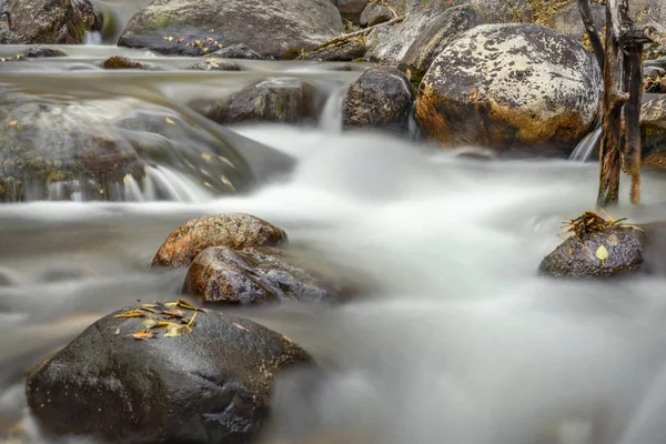 Acqua del fiume pietre foglie autunno — Foto Stock