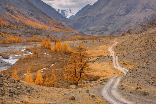 路山河秋树 — 图库照片