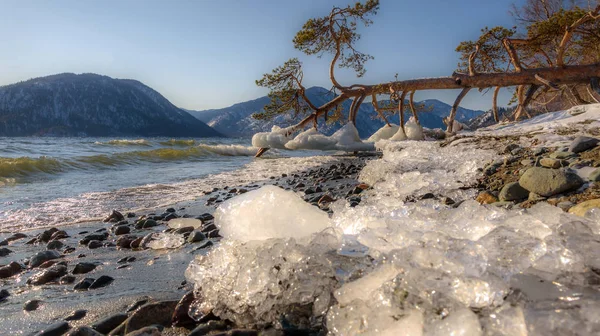 산 호수 소나무 얼음 웨이브 — 스톡 사진