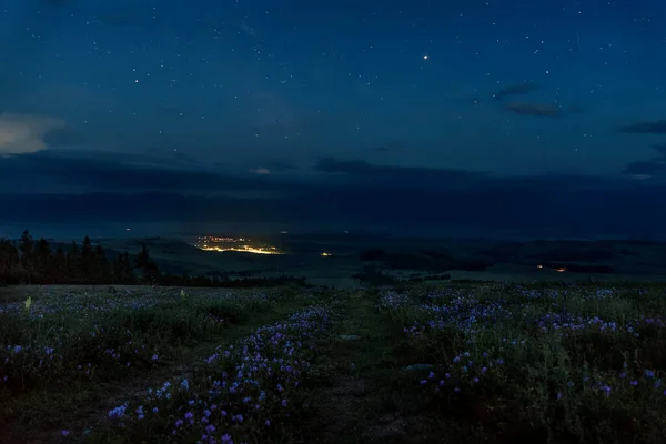 Paysage Nocturne Avec Route Terre Dans Les Montagnes Fleurs Géranium Images De Stock Libres De Droits