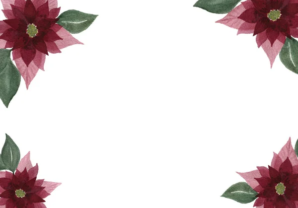 Akwarela Kwiatowa Ramka Poinsettias Kwiat Kopiować Przestrzeń Tor Tekst Projekt — Zdjęcie stockowe
