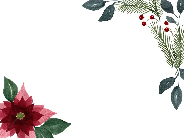 Fondo Floral Navidad Con Flor Poinsettia Abeto Ilustración Navidad Diseño — Foto de Stock