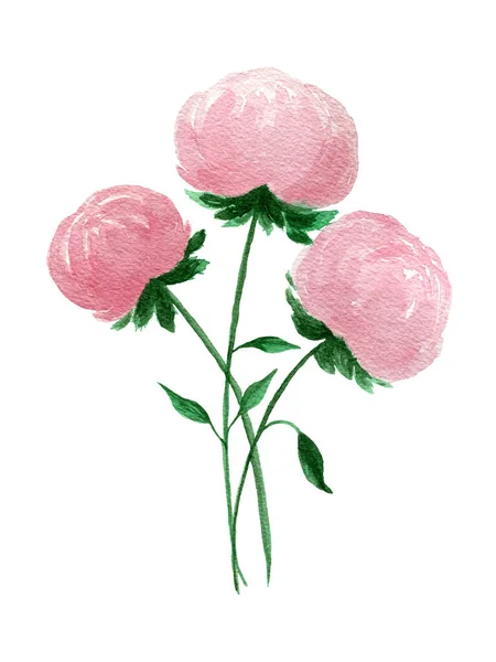 Акварельний Рожевий Півонії Квітковий Букет Квітковий Елемент Дизайну Листівки Моди — стокове фото