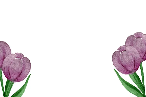紫色郁金香装饰 母亲节花卉设计与复制空间 水彩画郁金香卡片模板 — 图库照片
