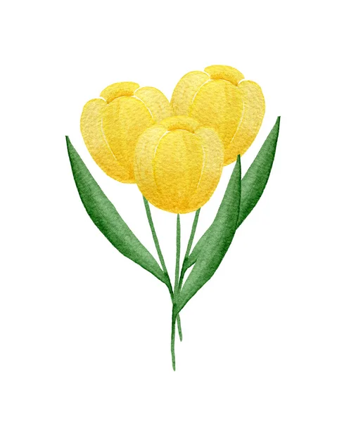 一束黄色郁金香花 白色背景隔离 水彩花为母亲节或母亲节设计 春花装饰 — 图库照片