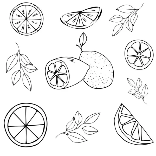 Conjunto Elemento Fruta Limón Vector Garabato Ilustración Frutas Tropicales — Archivo Imágenes Vectoriales