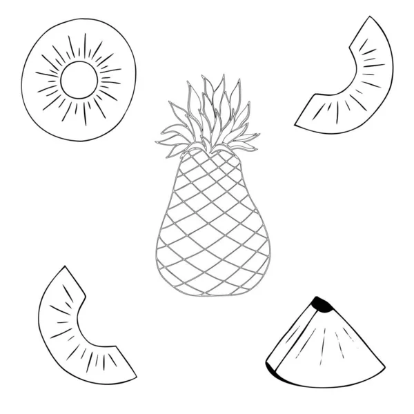 Conjunto Elementos Decorativos Piña Doodle Vector Ilustración Frutas Tropicales — Archivo Imágenes Vectoriales