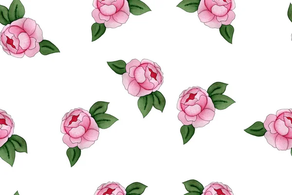 Бесшовный Узор Розовыми Пионскими Цветами Рисунок Акварелью Юбилейной Открытки Ткань — стоковое фото