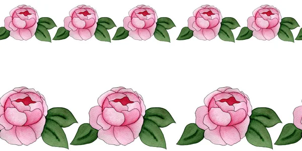 Decorative Seamless Border Pink Peony Flower Hand Drawn Floral Seamless — Stock Photo, Image