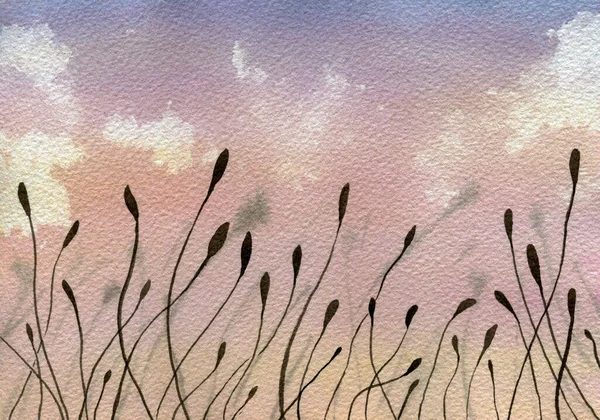 Aquarell Feldlandschaft Und Sonnenuntergangshimmel Lila Rosa Und Pfirsichfarbenen Tönen Abstrakter — Stockfoto