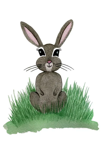 watercolor cartoon gray rabbit on grass, hand drawn cute childish bunny isolated on white, simple animal cartoon watercolor illustration