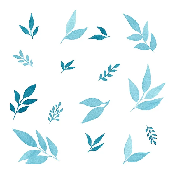흰색에 스티커 프로젝트 디자인을 식물성 잎들의 — 스톡 사진