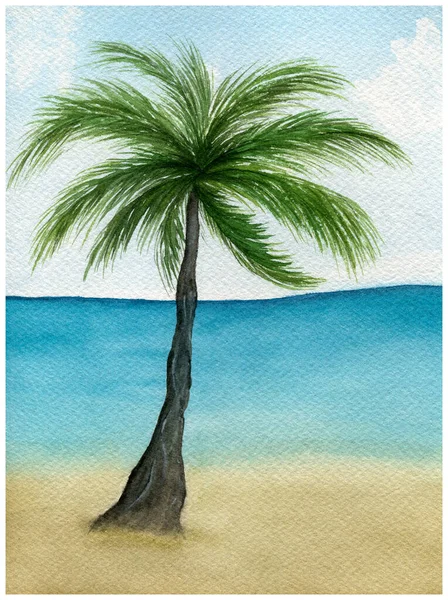 Palmeira Praia Praia Tropical Aquarela Pintura Paisagem Verão Com Palmeira — Fotografia de Stock