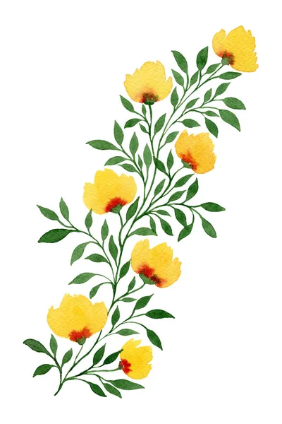 Ramo Flores Amarelas Isolado Fundo Branco Bonito Simples Aquarela Primavera — Fotografia de Stock