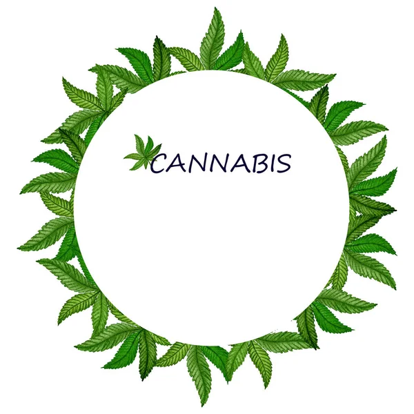 Cannabisblätter Rundes Rahmendesign Handgemalte Aquarell Illustration Mit Medizinischer Marihuana Pflanze — Stockfoto